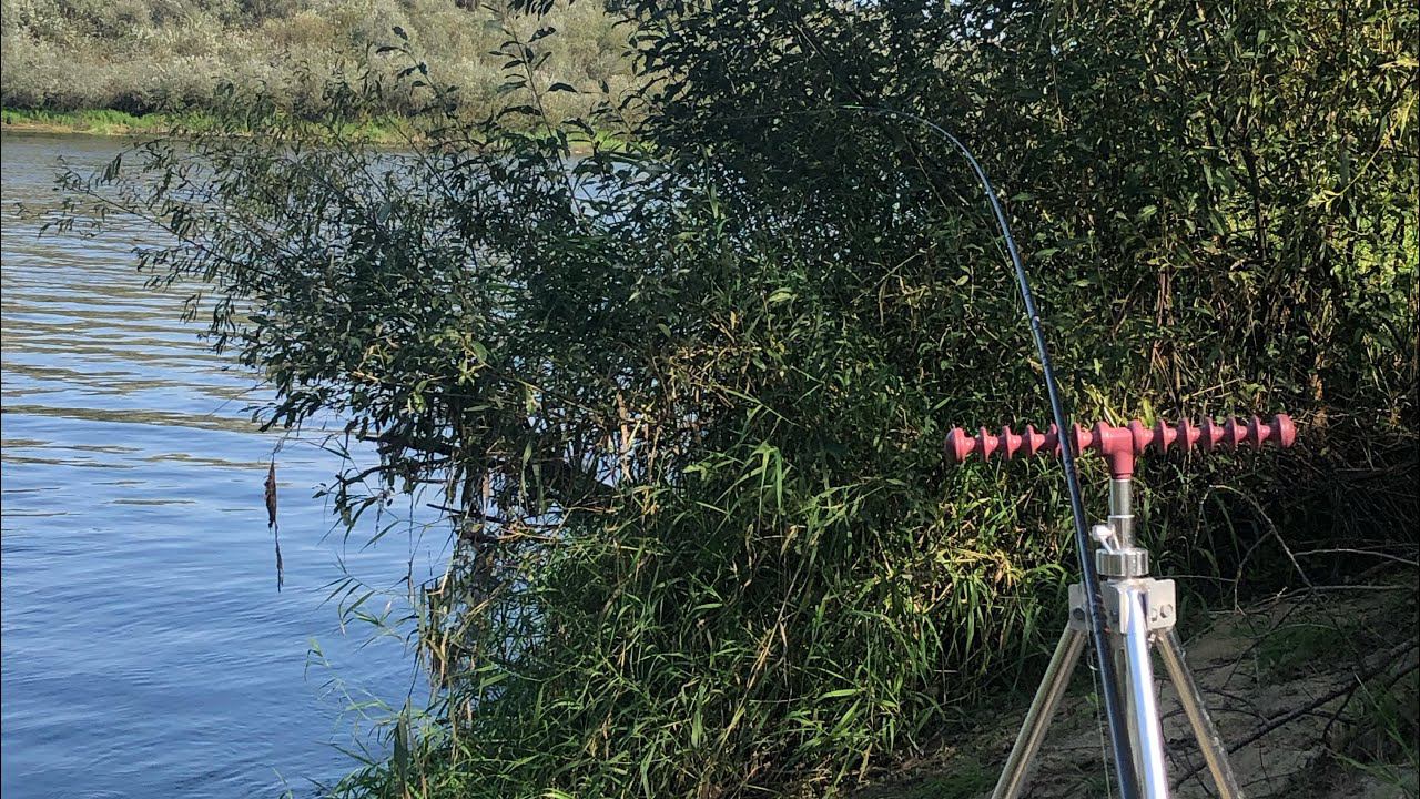 РЫБАЛКА С НОЧЕВКОЙ НА ФИДЕР С ДРУЗЬЯМИ! Шашлычок, отдых на природе, байки у костра. смотреть онлайн