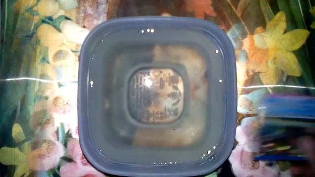 Выращиваю шарики орбиз! смотреть онлайн