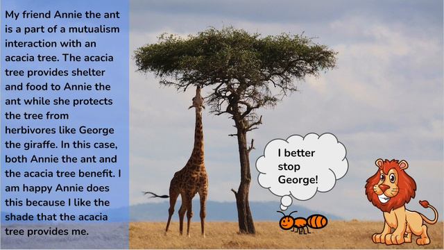 Leo The Lion смотреть онлайн