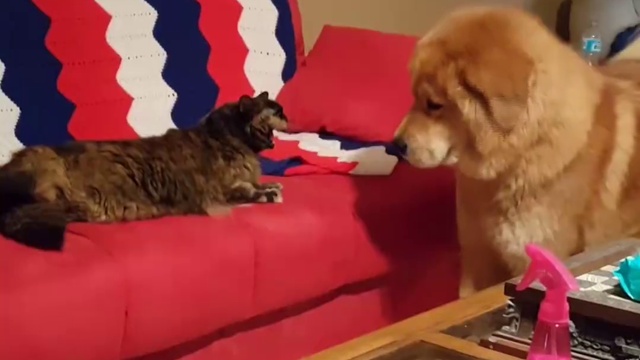 когда друзьями быть не получается смотреть онлайн