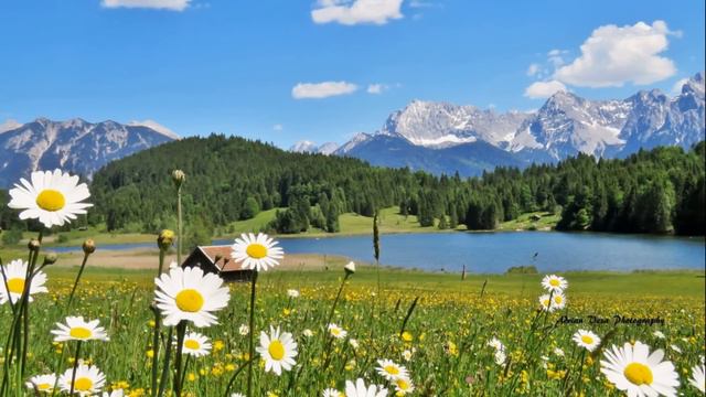 УКРОЩЕНИЕ ЖЕНЫ. Истории из жизни. Удивительные рассказы смотреть онлайн