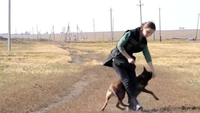 КК Келса, 6 месяцев. смотреть онлайн