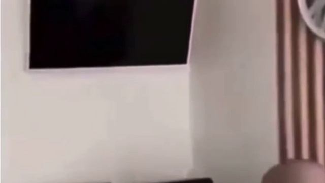 Смешные видео приколы .mp4 смотреть онлайн