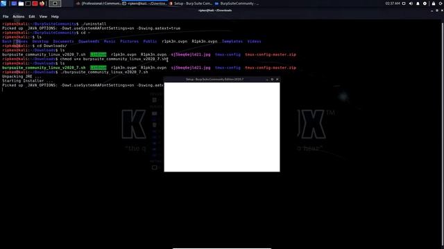 Install Burp Suite Community Edition 2020.7 In Kali Linux 2020.2 VirtualBox смотреть онлайн