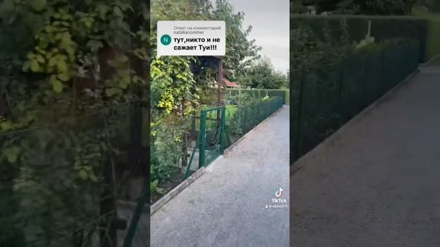 Сажают Туи на даче. смотреть онлайн