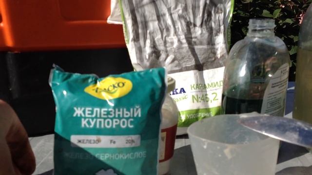 Розы. Осенняя искореняющая обработка для роз, гортензий и всего сада. 100% УСПЕХА!!! смотреть онлайн