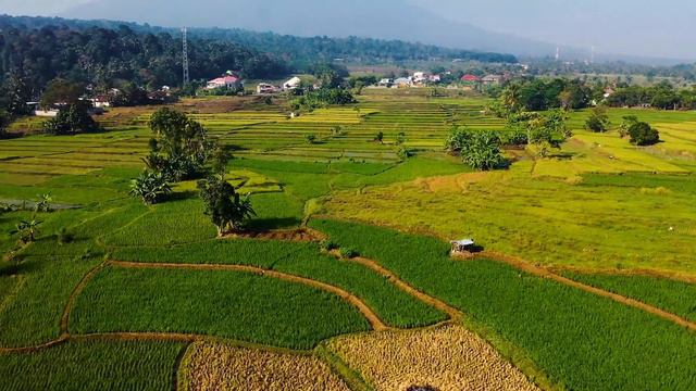 Позитивная спокойная музыка. Путешествия. Positive Calm Music. Travels.