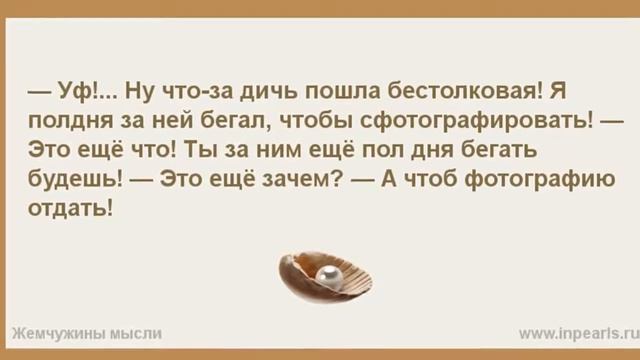 Дочь Абрамовича выходит замуж: «Прошлая ночь была ночью, которую я никогда не забуду» смотреть онлайн