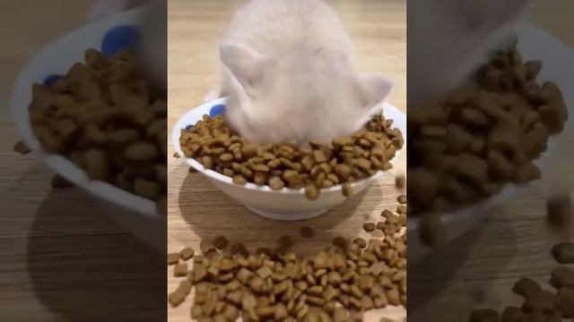 Просто вкусно очень! смотреть онлайн