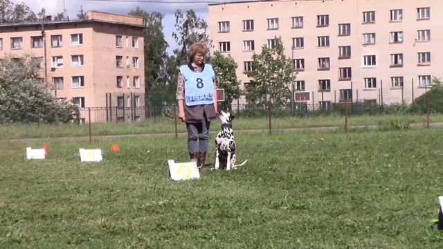 Ней Надежда Далматин Северная Соната Апельсинка РО 1 Летние встречи на даче 11.07.20 2 трасса