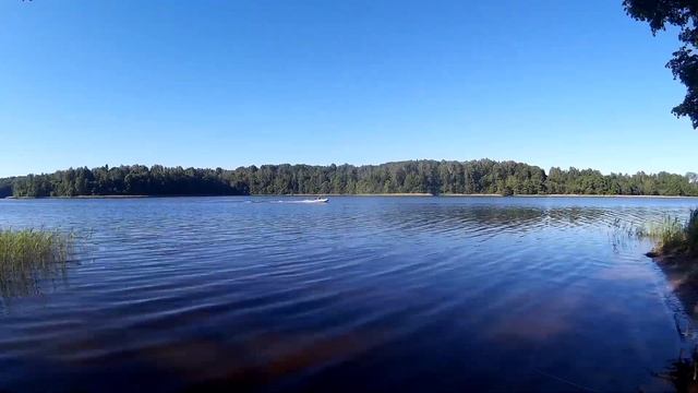 Тохатсу 9.9 старт в 1\2 газа