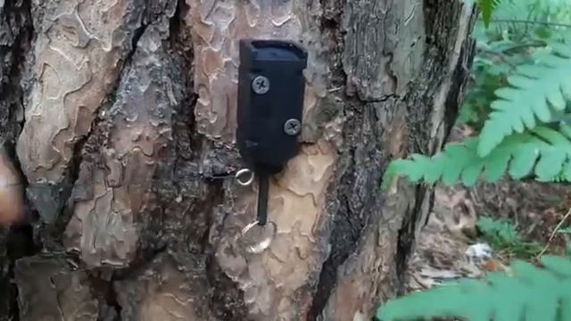 Туристическая сигнализация для охраны периметра смотреть онлайн