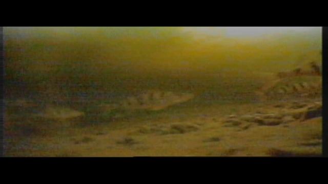 Отзыв о камере Eyoyo EF15R спустя 2 года жестокого использования.