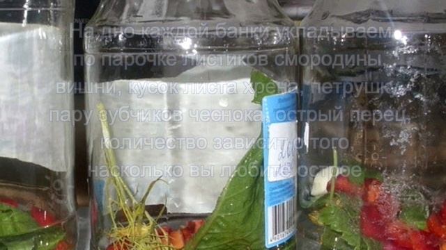 маринованная цветная капуста смотреть онлайн