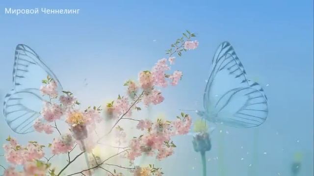 Большинство из вас все еще находятся в процессе очищения-ченнелинг смотреть онлайн