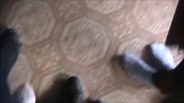 Команда "Настоящие", МКОУ "Большемуртинская СОШ № 2" (Большая Мурта, Красноярский край) смотреть онлайн