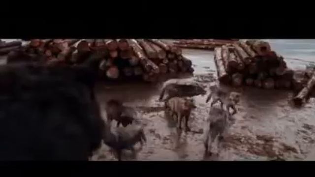 Сумерки. Коматоз клип смотреть онлайн