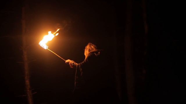 TES V: Skyrim - Around The Fire - Cover by Dryante (feat. Stacy & Vikki Zan) смотреть онлайн