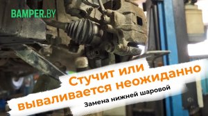 Стучит или вываливается неожиданно. Замена нижней шаровой опоры