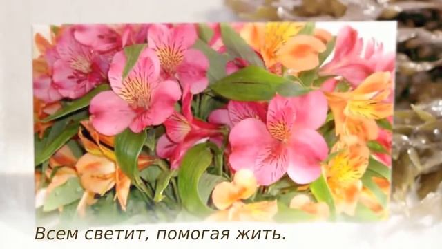 Поздравление к юбилею 55 лет смотреть онлайн