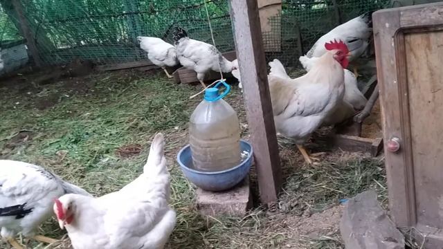 Как нас обманули на рынке смотреть онлайн