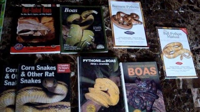 SSS 16 NEW ADDITIONS, EGGS & OPPOSE VA REPTILE BAN, WIN A REPTILE BOOK...ETC! смотреть онлайн
