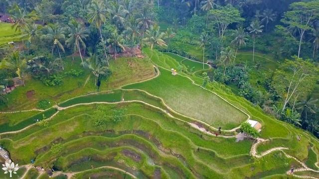 4K Video - BALI INDONESIA - Relaxing music along with beautiful nature videos ( 4k Ultra HD ) смотреть онлайн