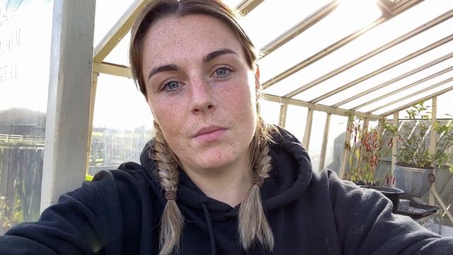 How To Pre- Sprout Ranunculus Corms | Planting Ranunculus | Ranunculus Bulbs | Flower Farming