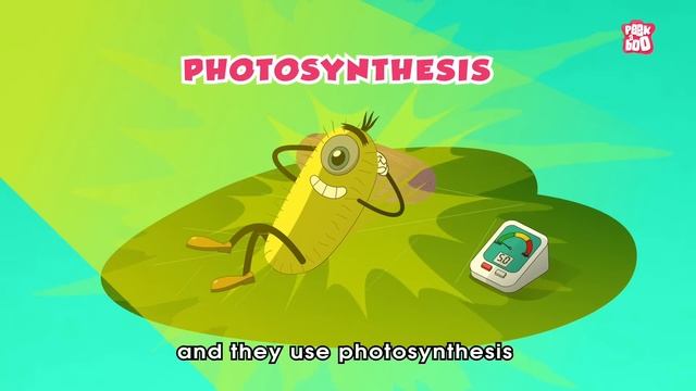 How Phytoplankton Started Complex Life On Earth? | Plankton | The Dr Binocs Show | Peekaboo Kidz смотреть онлайн