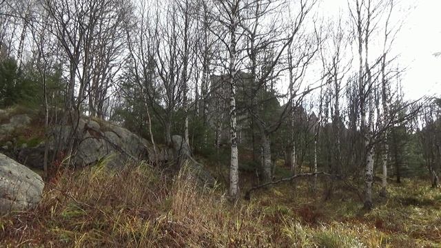 Скалодром Таганай. смотреть онлайн