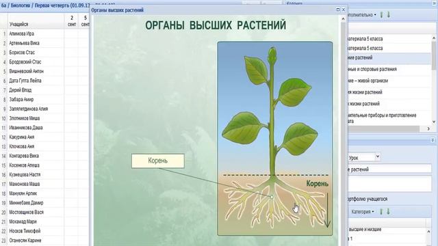 Работа с журналом в «1С:Образование 5 Школа» смотреть онлайн