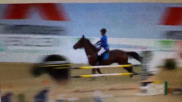 Lupicor x Libero H, geb. 2003 смотреть онлайн