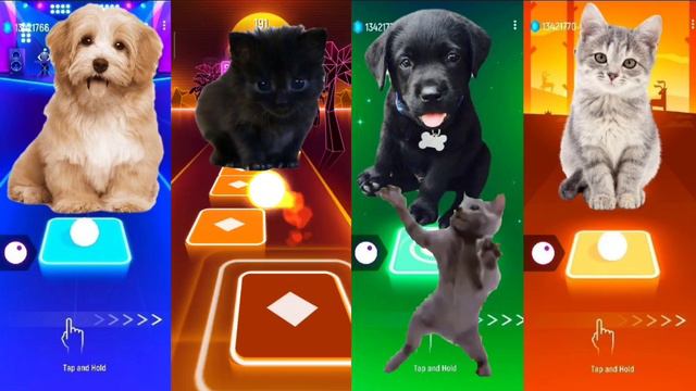 Cute Puppies VS Cute Kittens | Bongo Dog | Bongo Cat | Tiles Hop EDM Rush смотреть онлайн