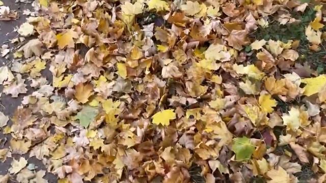 ? С И Л А МЫСЛИ ?( с мудрым волшебником )....от Розанна Адам смотреть онлайн