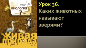 Урок 36. Каких животных называют зверями?