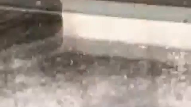 Москвичи прыгают как зайцы и козочки смотреть онлайн