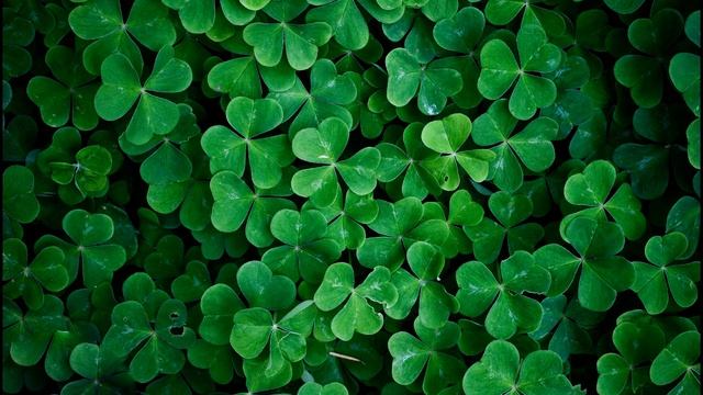 Клевер-это обман смотреть онлайн