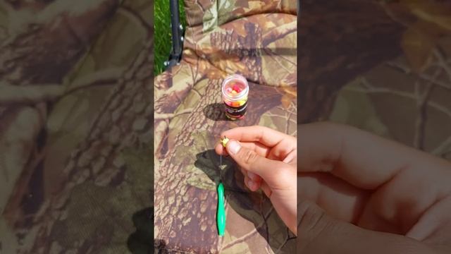 Правильный поводок на КАРПА для ФЛЭТ ФИДЕРА. #shots #рыбалка2021 #карп #рыбалка #сазан смотреть онлайн