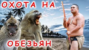 Охота на обезьян или жизнь в тропических лесах Шри-Ланки 45000 лет назад в