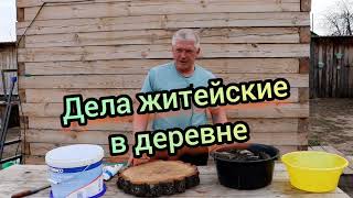 Дела житейские в деревне Ротан на копчение, копаю теплицу, каша бройлерам смотреть онлайн