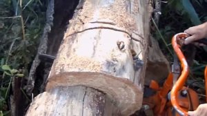 Бензопила Урал 2 в работе