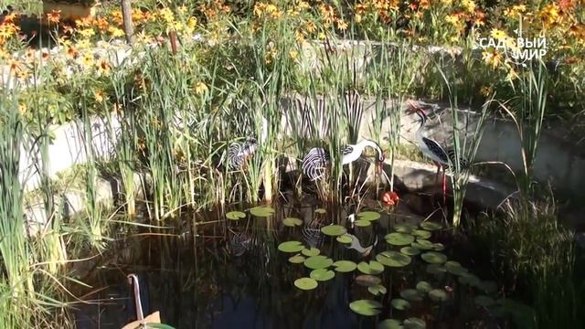 Садовый пруд. Сайт 