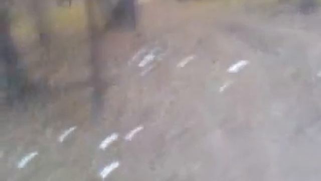 Люди не загрезняйте лес возле Кобрина и везде.3gp смотреть онлайн