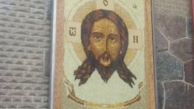 У Кирхи и жирафов в парке Беккера в Янтарном 5/09/24 смотреть онлайн