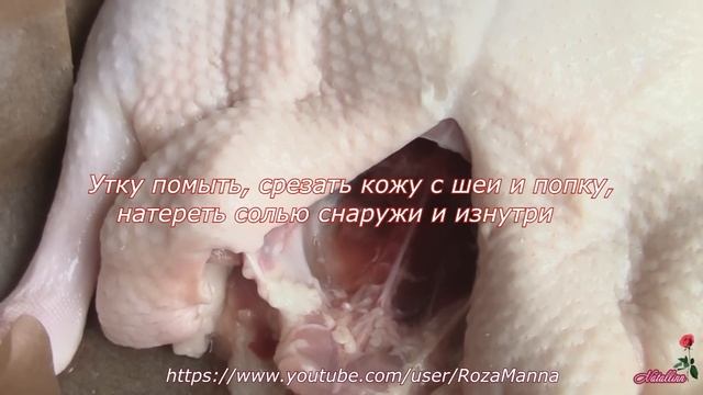 Веганские Ресторанчики и Кафе