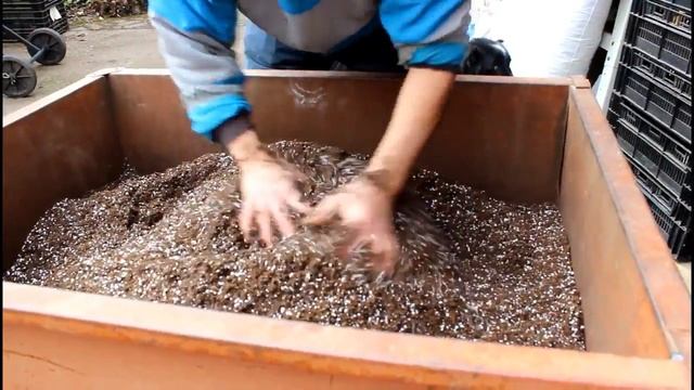 Making Mini Soil Blocks Mix смотреть онлайн
