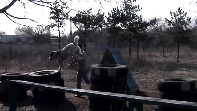 Прыжки по колесам. Алабай, САО
