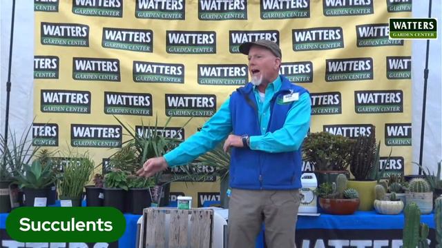 Succulents, Cacti and the Low Maintenance Garden смотреть онлайн