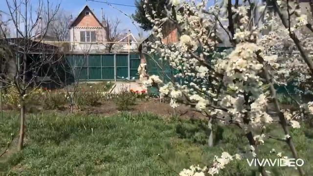 Пятигорск дача 19,04,20 смотреть онлайн