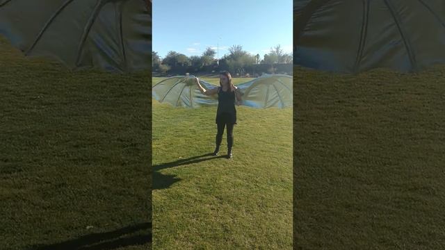 Dragon wings test! смотреть онлайн